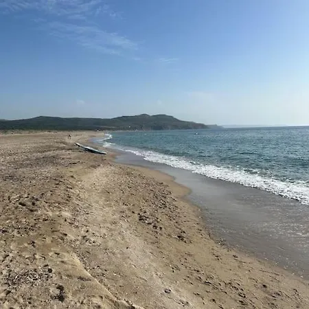 L'oliveto Iglesias